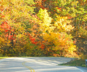 fall scenic drive in the Alleghany Highlands of Va