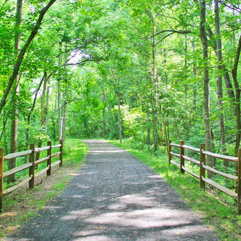 view of the Jackson River Scenic Trail