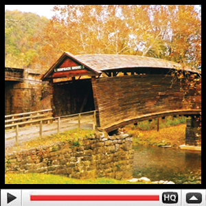 Humpback Bridge video