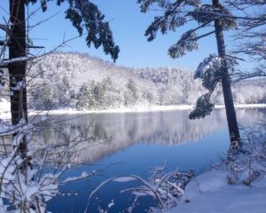 winter in Douthat State Park