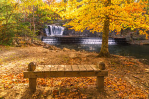 fall at Douthat State Park