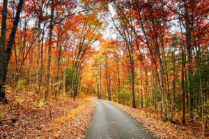 fall scenic drive near Cole's Point