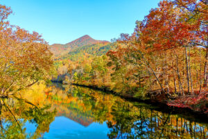 fall view from the bridge