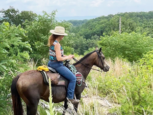 Let's Ride Horses