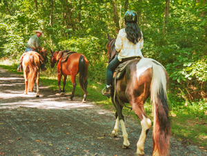 Let's Ride Horses trail ride